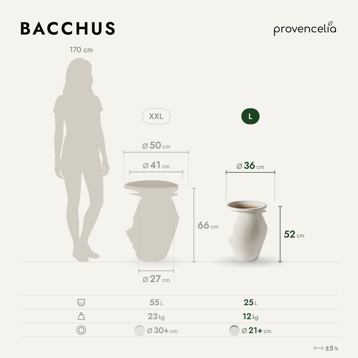 BACCHUS L – rozmery