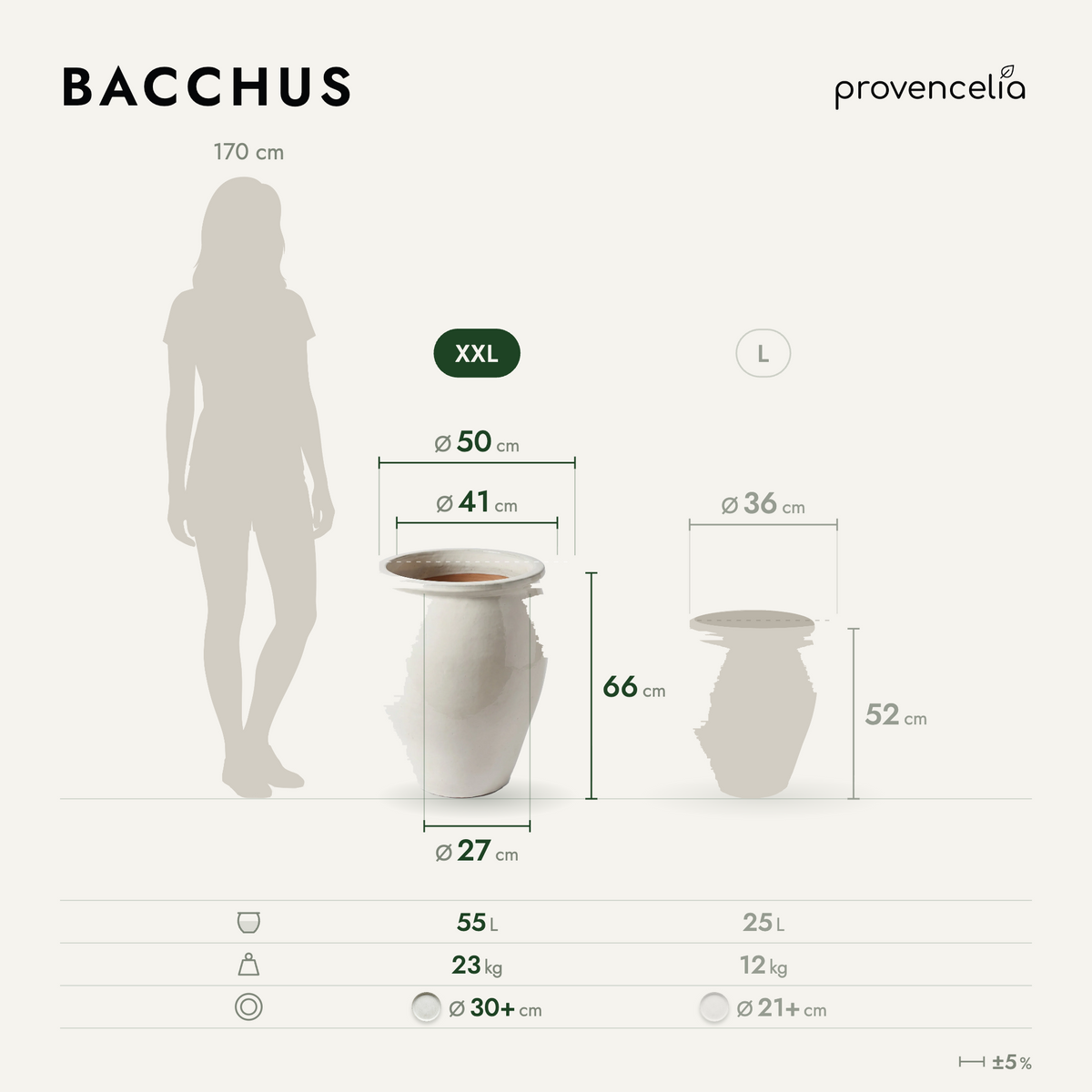 BACCHUS XXL – rozmery