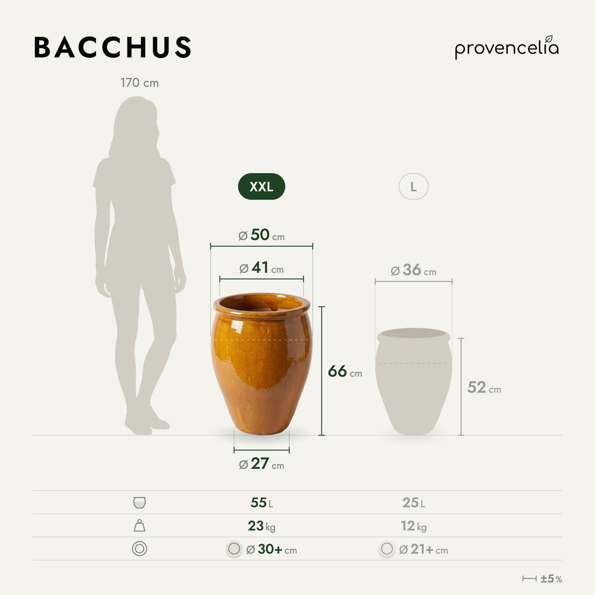 BACCHUS XXL – rozmery