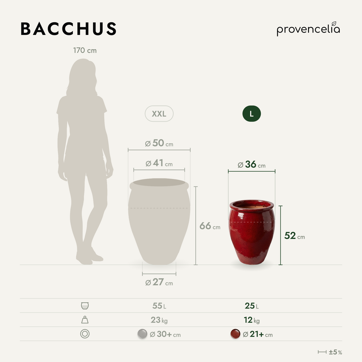 BACCHUS L – rozmery