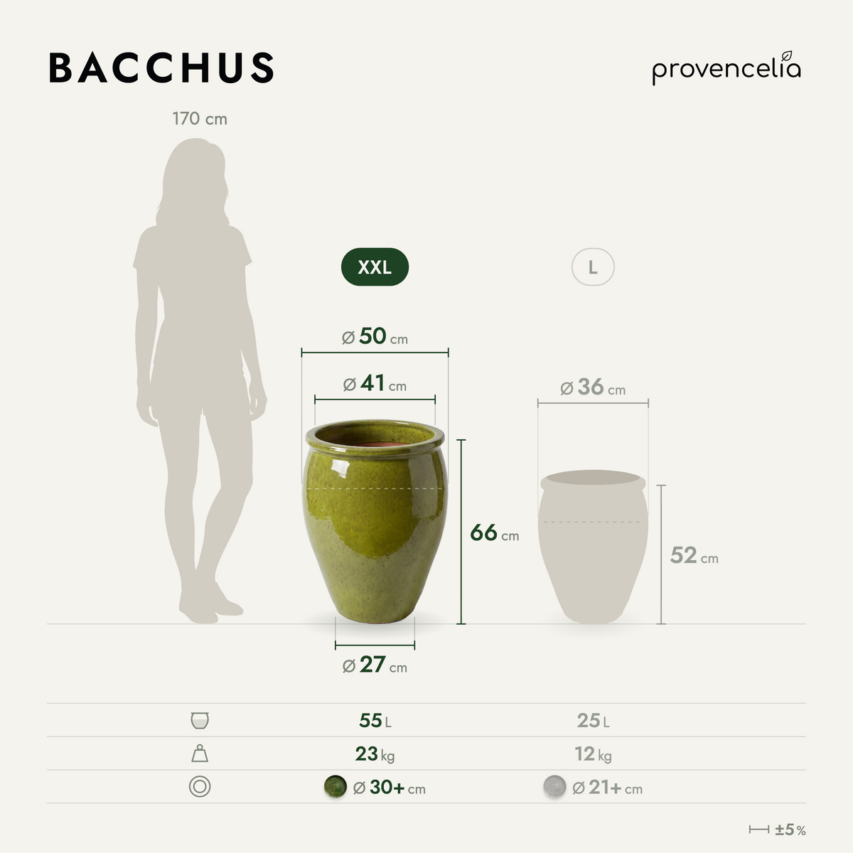 BACCHUS XXL – rozmery