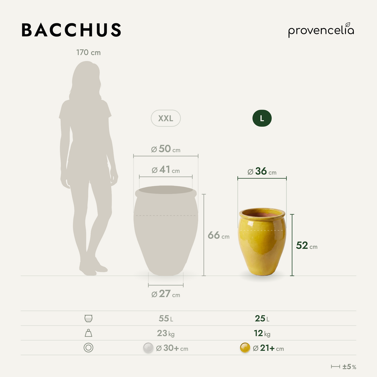 BACCHUS L – rozmery