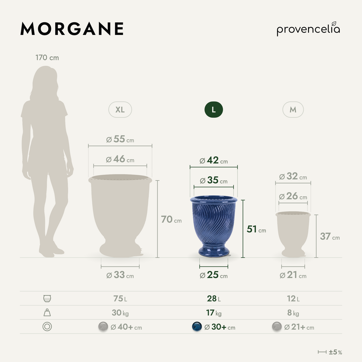MORGANE L – rozmery